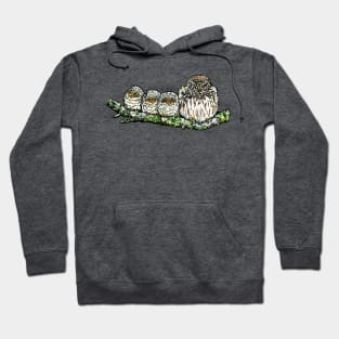 Pygmy Puffballs Northern Pygmy-owl Hoodie